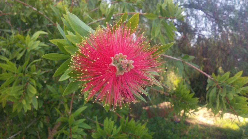El Manantial B&B El Higueron Dış mekan fotoğraf