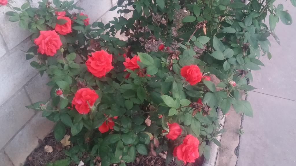El Manantial B&B El Higueron Dış mekan fotoğraf